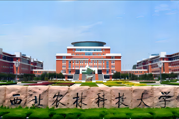 西农甄选礼品卡提货系统