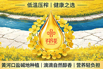 农业集团礼品卡提货系统