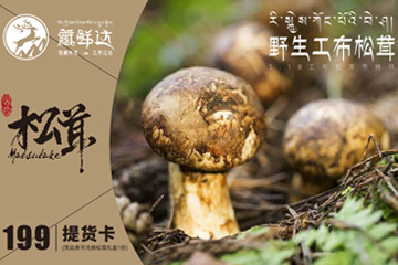 藏鲜达,松茸提货系统,山珍提货