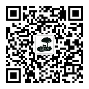 大型牧业礼品卡提货系统 大型牧业礼品卡提货系统